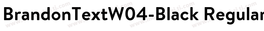 BrandonTextW04-Black Regular字体转换
